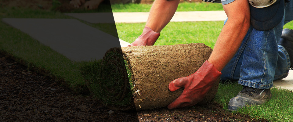 Vernon Hills Landscapers